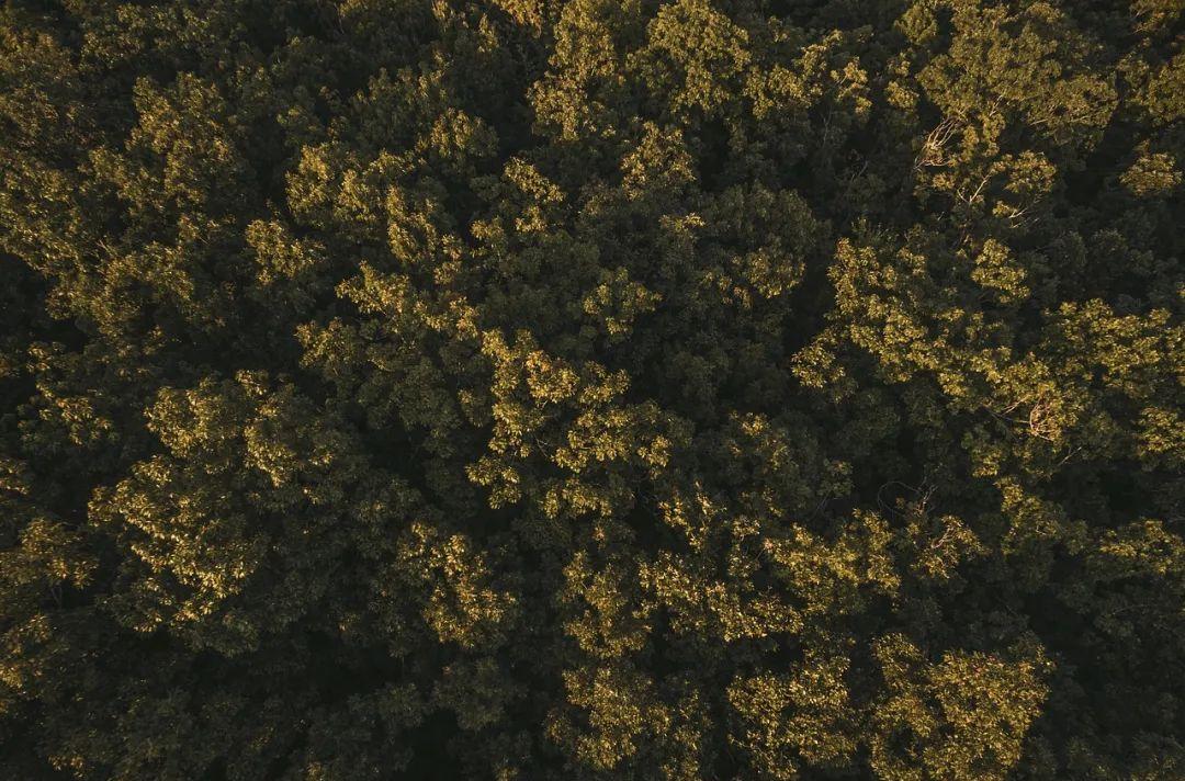 攀枝花旅游攻略_攀枝花旅游路線_攀枝花旅游必去景點