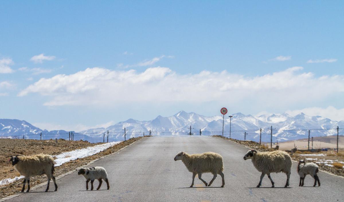 1.6排量自駕游_1.6排量能自駕游嗎_自駕游多大排量合適