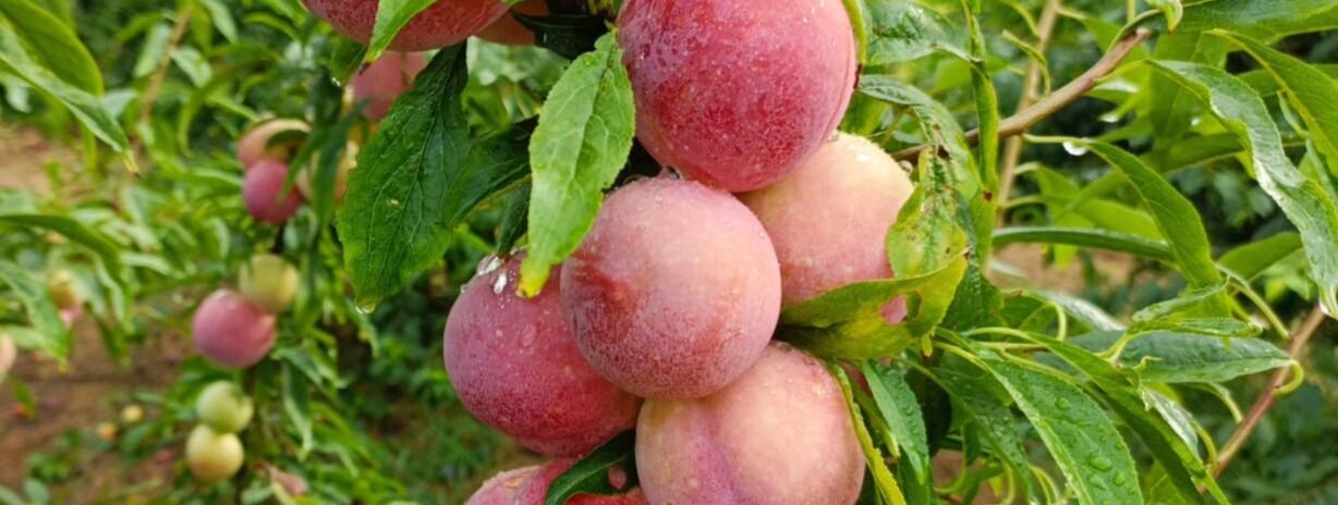 火車上鋪好不好_火車上鋪好嗎_火車中鋪怎么上最方便