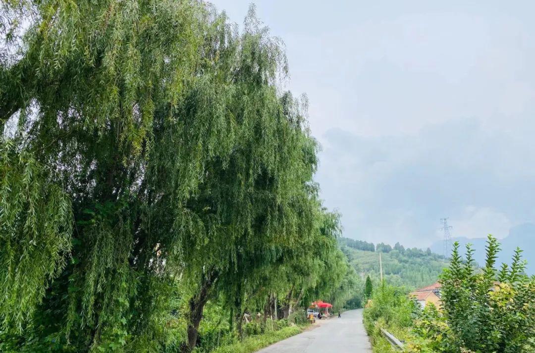 火車7053經過的站點_山東最慢的火車7053_火車7053