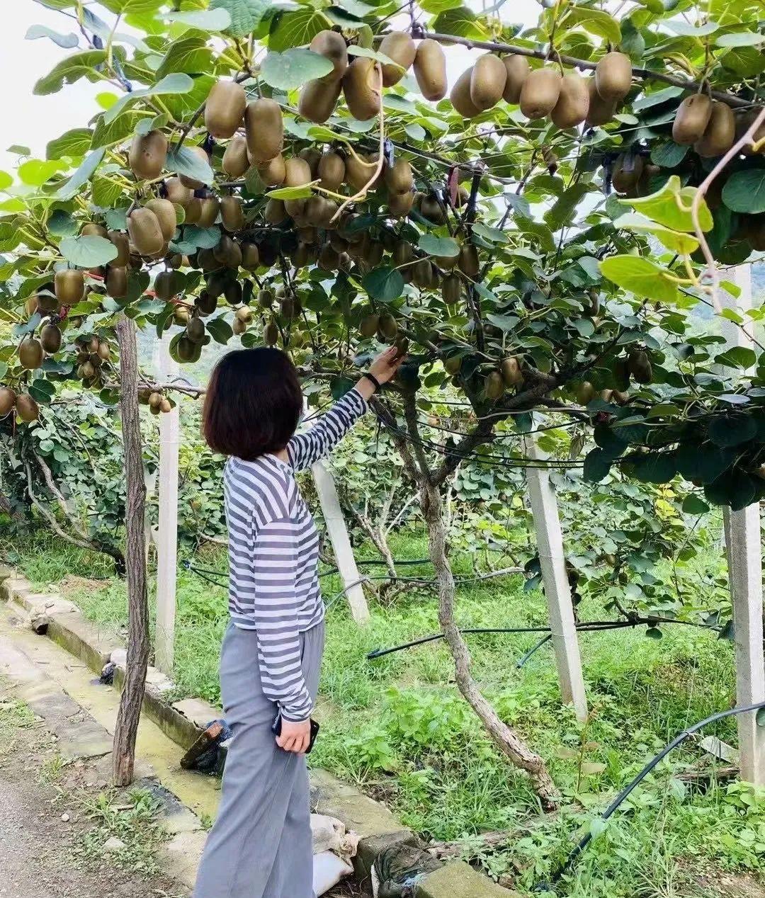 火車7053經過的站點_火車7053_山東最慢的火車7053