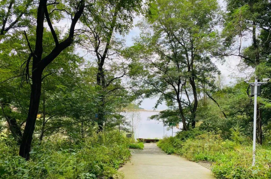 火車7053經過的站點_山東最慢的火車7053_火車7053