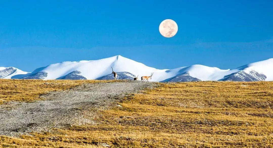 甘肅周邊旅游_甘肅周邊旅游景點_甘肅周邊旅游推薦