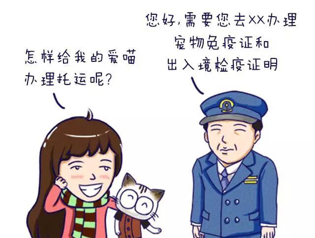 火車托運(yùn)寵物_火車 托運(yùn)_火車托運(yùn)汽車找哪個(gè)平臺(tái)