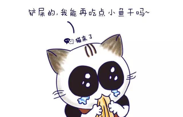 火車 托運(yùn)_火車托運(yùn)寵物_火車托運(yùn)汽車找哪個(gè)平臺(tái)