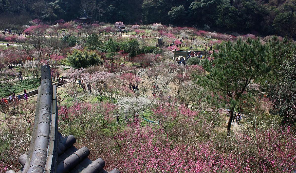 寧波北侖自駕游_自駕寧波北侖游玩攻略_寧波北侖自駕游路線推薦