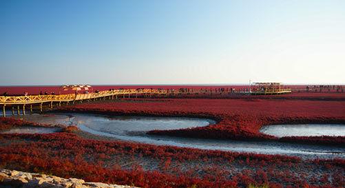 大連到莊河自駕多長時(shí)間_大連到莊河自駕游攻略_大連到莊河之間有什么好玩的