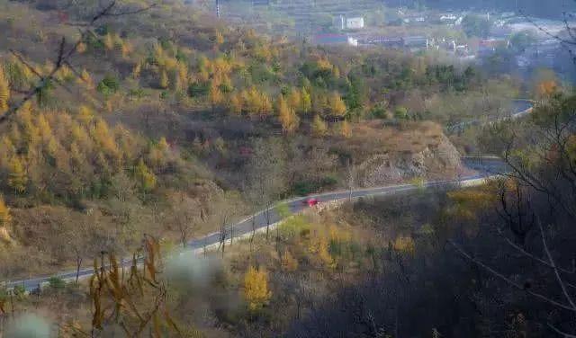 北京周邊秋天自駕_北京秋季自駕游去哪里好玩_北京周邊秋季自駕游