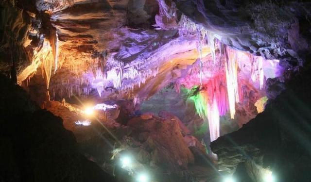 湘西瑤茶_游兮瑤之圃_自駕游瑤有茶