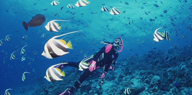 第一次去馬來西亞和新加坡怎么玩？看這篇就夠了！文末有驚喜