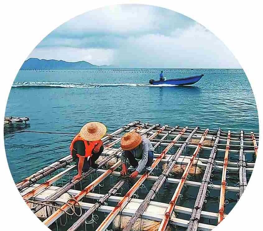 山莊自駕游富通路線_富通山莊二日自駕游_富通山莊游費用