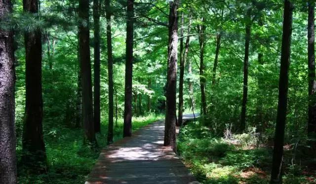 樺甸火車_樺甸火車票_樺甸火車時(shí)刻表