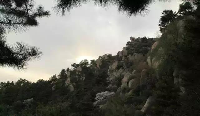 樺甸火車票_樺甸火車_樺甸火車時(shí)刻表