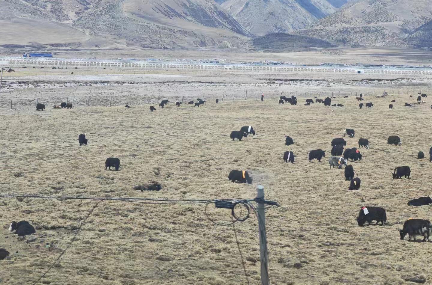 火車上的氧氣_有氧火車_火車供氧嗎