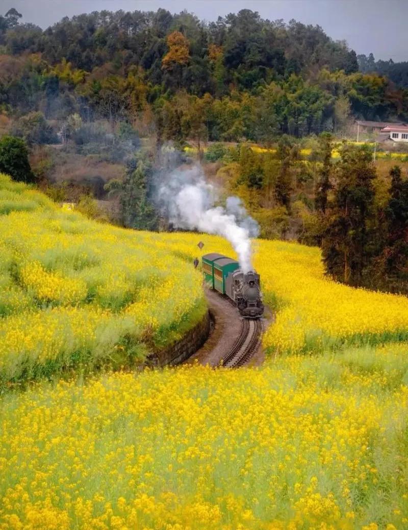 火車汽車飛機類比_火車汽車托運收費標(biāo)準(zhǔn)_汽車快還是火車快