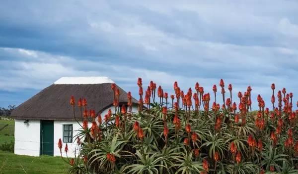 南非自由行旅行攻略_南非自駕游路線_南非自駕路線游玩攻略