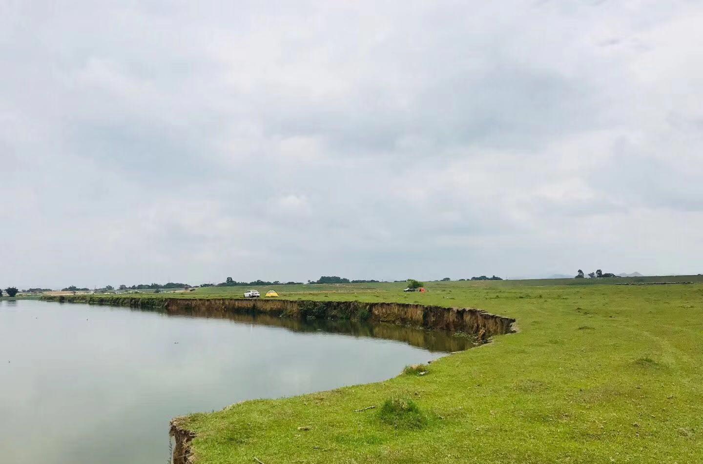 惠州紫溪草原：離深圳50公里的南方完美草原，小眾景點推薦