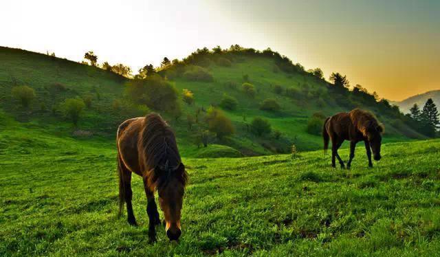 重走絲綢之路——西安至喀什自駕游(附10天自駕路書)