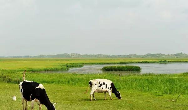 久居都市去草原？最短3日返京的經濟路線