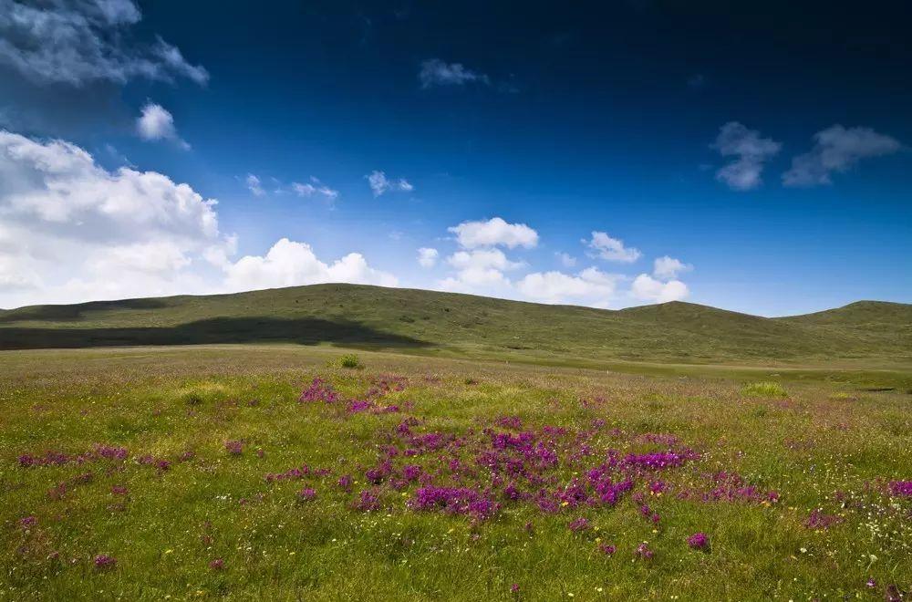 西安到年保玉則自駕游_西安到年保玉則自駕游_西安到年保玉則自駕游