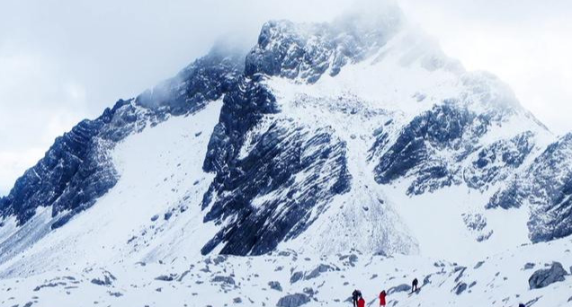 1646190561647236.png image.png