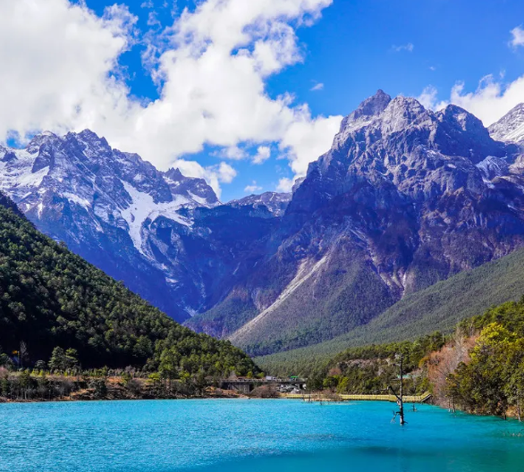 1648866578283570.png image.png