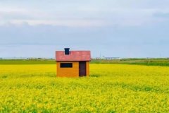 朔州火車站到麻家梁公交路線,公交出行新指南